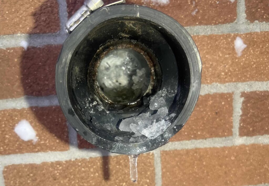 Guardian Sprinkler Freeze pic